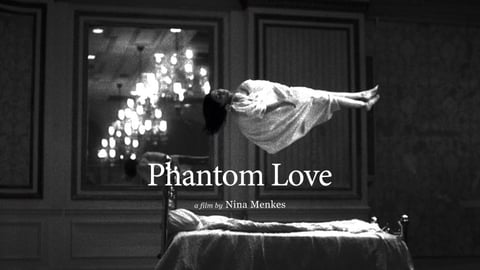 Phantom Love by Nina Menkes